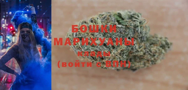 ПСИЛОЦИБИНОВЫЕ ГРИБЫ Кодинск