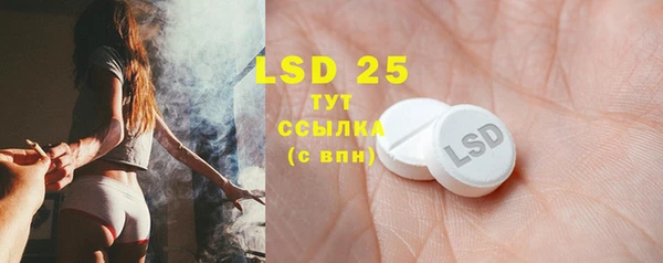 ПСИЛОЦИБИНОВЫЕ ГРИБЫ Кодинск