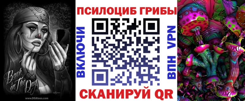 Купить закладки  Альметьевск  Галлюциногенные грибы мицелий 